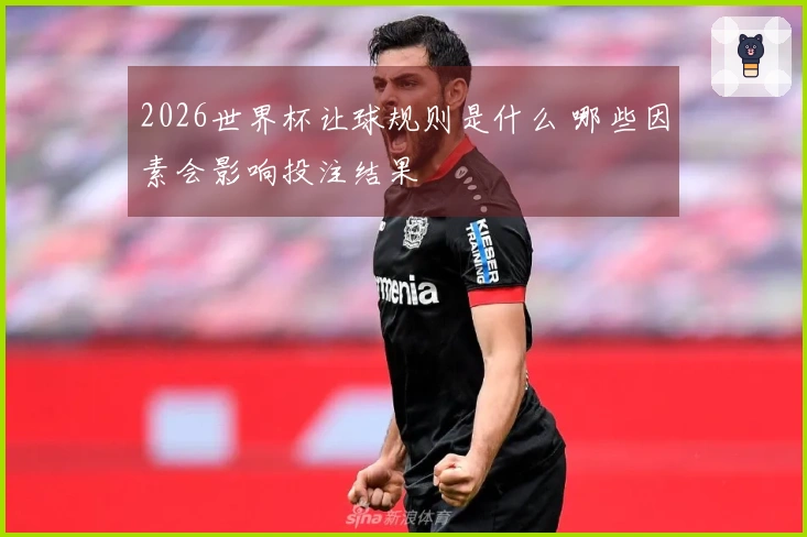 2026世界杯让球规则是什么 哪些因素会影响投注结果