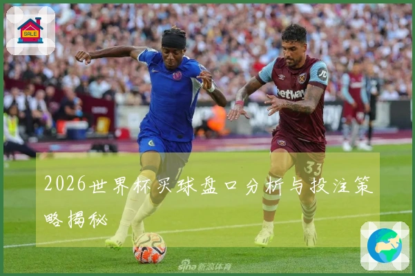 2026世界杯买球盘口分析与投注策略揭秘