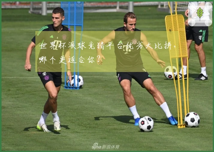 世界杯滚球竞猜平台优劣大比拼，哪个更适合你？